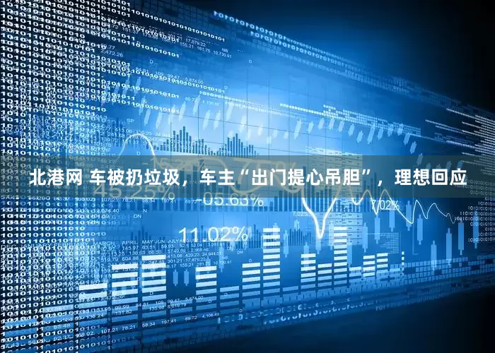 北港网 车被扔垃圾，车主“出门提心吊胆”，理想回应
