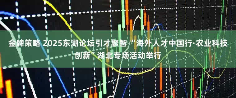金牌策略 2025东湖论坛引才聚智 “海外人才中国行·农业科技创新”湖北专场活动举行