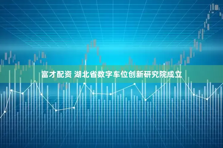 富才配资 湖北省数字车位创新研究院成立