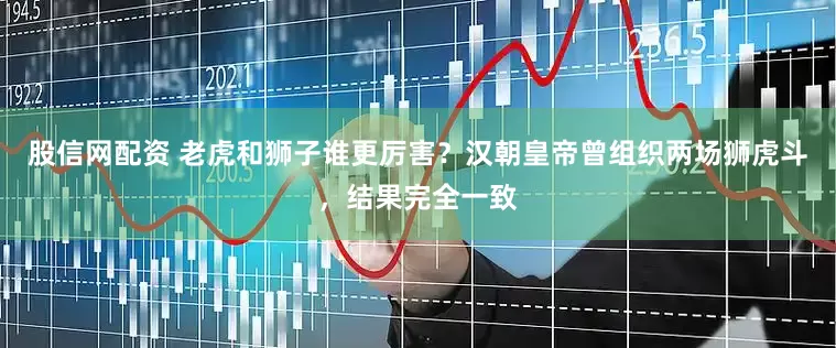 股信网配资 老虎和狮子谁更厉害？汉朝皇帝曾组织两场狮虎斗，结果完全一致